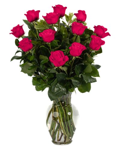 One Dozen Hot Pink Roses