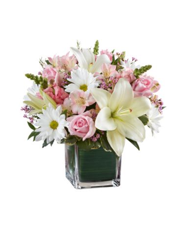 Boca Raton Florist - Healing Tears in Pink & White –