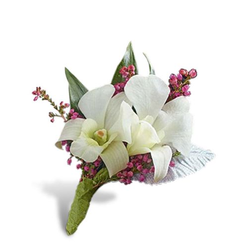 Florist Boca Raton, FL - Dapper White Orchids –
