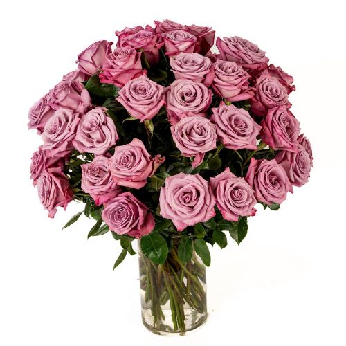 Double the Dozens 24 = 48 Lavender Roses