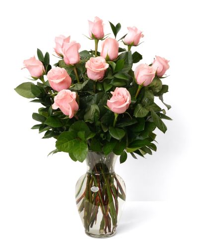 One Dozen Soft Pink Roses