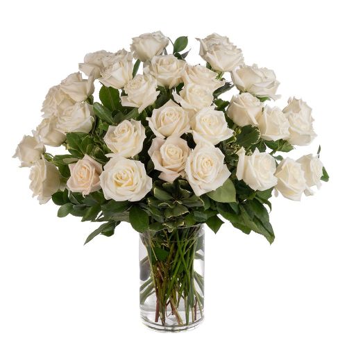 Double the Dozens 18 = 36 White Roses