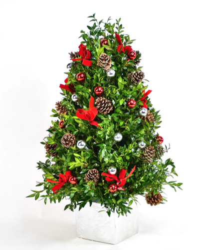 Festive Boxwood Tree