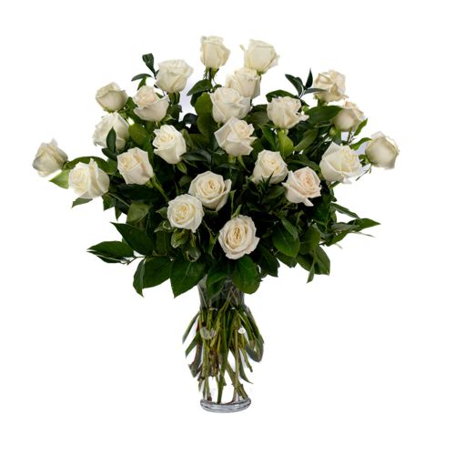 Two Dozen White Roses 