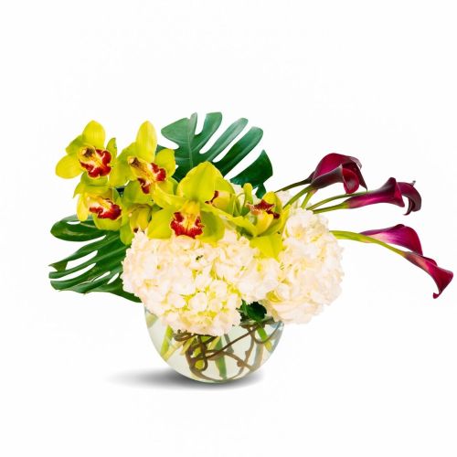 Boca Raton Flower Delivery - In Paradise –