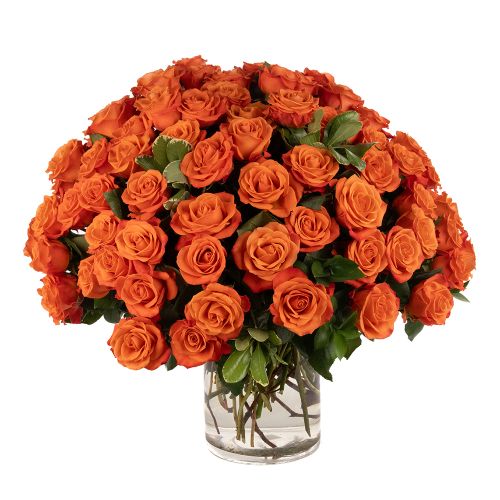 75 Orange Roses