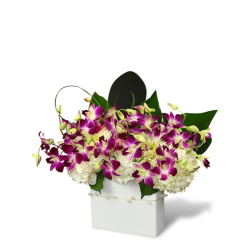 Boca Raton, FL Florist - Orchid Obsession –