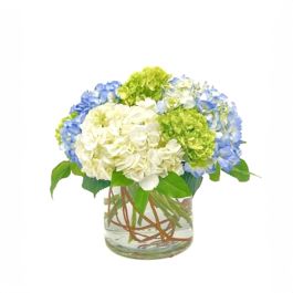 hydrangea_love_.jpg